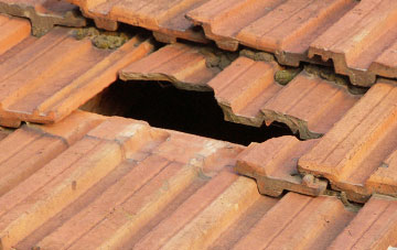 roof repair Great Tows, Lincolnshire